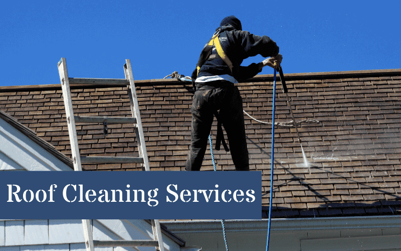 Best Roof Cleaning Swanesa